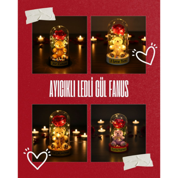 Ayıcıklı Ledli Gül Fanus